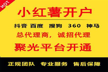 互联网公司SEM代运营成功案例剖析